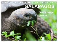 Galapagos. Verzauberte Inseln (Wandkalender 2026 DIN A4 quer), CALVENDO Monatskalender