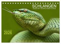 SCHLANGEN. JÄGER MIT GESPALTENER ZUNGE (Tischkalender 2026 DIN A5 quer), CALVENDO Monatskalender