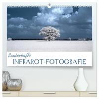 Zauberhafte Infrarot-Fotografie (hochwertiger Premium Wandkalender 2026 DIN A2 quer), Kunstdruck in Hochglanz