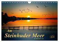 Am Steinhuder Meer (Wandkalender 2026 DIN A4 quer), CALVENDO Monatskalender