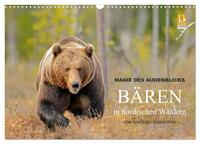 Magie des Augenblicks - Bären in nordischen Wäldern (Wandkalender 2026 DIN A3 quer), CALVENDO Monatskalender