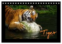 Welt der Katzen - Tiger (Tischkalender 2026 DIN A5 quer), CALVENDO Monatskalender