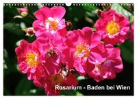 Baden bei Wien - Rosarium (Wandkalender 2026 DIN A3 quer), CALVENDO Monatskalender