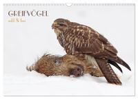 GREIFVÖGEL wild & frei (Wandkalender 2026 DIN A3 quer), CALVENDO Monatskalender