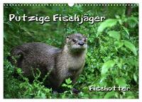 Putzige Fischjäger (Wandkalender 2026 DIN A3 quer), CALVENDO Monatskalender