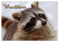 Waschbären (Wandkalender 2026 DIN A3 quer), CALVENDO Monatskalender