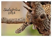 Südafrika (Wandkalender 2026 DIN A3 quer), CALVENDO Monatskalender