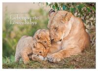 Emotionale Momente: Liebenswerte Löwenbabys (Wandkalender 2026 DIN A2 quer), CALVENDO Monatskalender