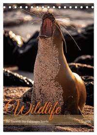 Wildlife - Die Tierwelt der Galapagos Inseln (Tischkalender 2026 DIN A5 hoch), CALVENDO Monatskalender