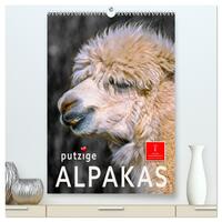 Putzige Alpakas (hochwertiger Premium Wandkalender 2026 DIN A2 hoch), Kunstdruck in Hochglanz