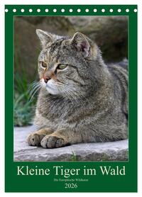 Kleine Tiger im Wald (Tischkalender 2026 DIN A5 hoch), CALVENDO Monatskalender