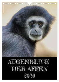 Augenblick der Affen 2026 (Wandkalender 2026 DIN A4 hoch), CALVENDO Monatskalender