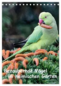 Bezaubernde Vögel im heimischen Garten (Tischkalender 2026 DIN A5 hoch), CALVENDO Monatskalender