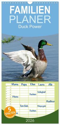 Familienplaner 2026 - Duck Power mit 5 Spalten (Wandkalender, 21 x 45 cm) CALVENDO