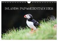 Islands Papageientaucher (Wandkalender 2026 DIN A4 quer), CALVENDO Monatskalender