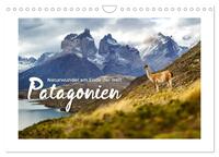 Patagonien - Naturwunder am Ende der Welt (Wandkalender 2026 DIN A4 quer), CALVENDO Monatskalender