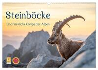 Steinböcke - Eindrückliche Könige der Alpen (Wandkalender 2027 DIN A3 quer), CALVENDO Monatskalender