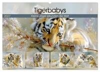 Tigerbabys. Kleine Jäger erkunden die Welt (Wandkalender 2027 DIN A2 quer), CALVENDO Monatskalender