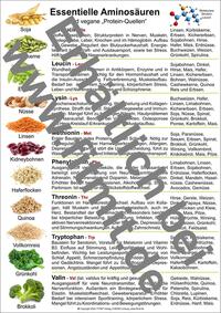 Aminosäuren und vegane Protein-Quellen