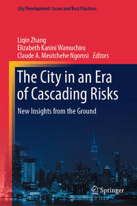 The City in an Era of Cascading Risks